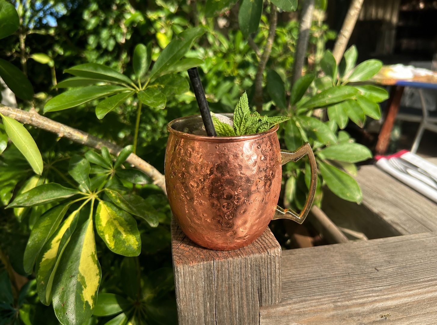 Moscow Mule in a copper mug