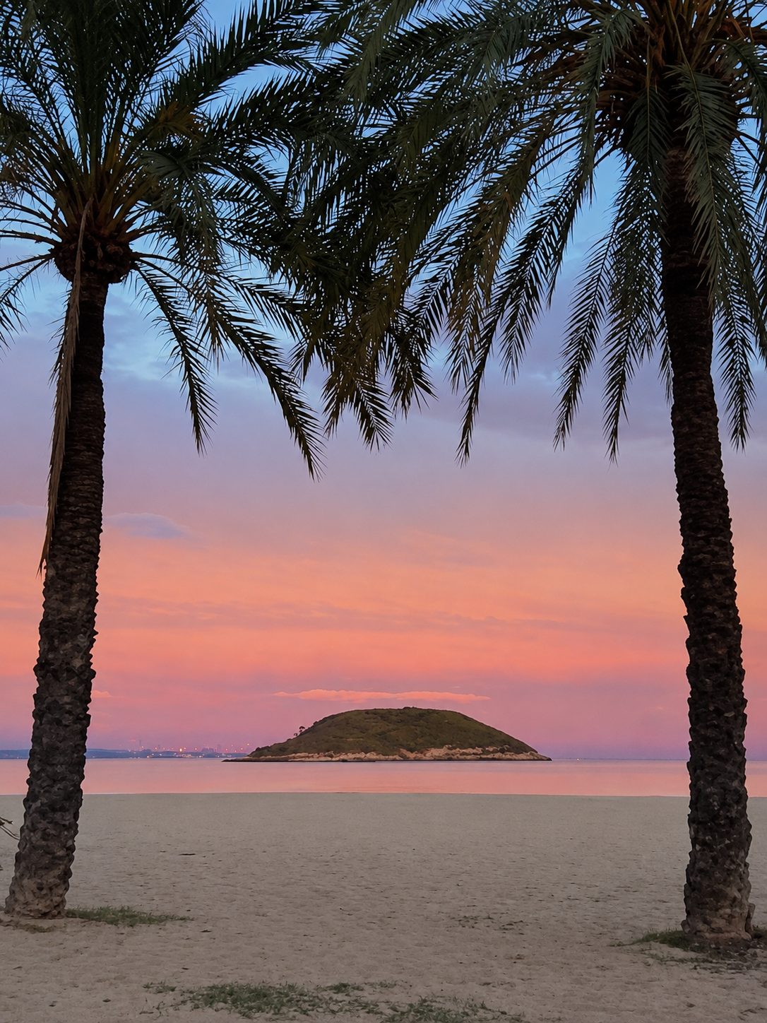 Sunset over the sea and palm trees at Kalima Beach, Magaluf