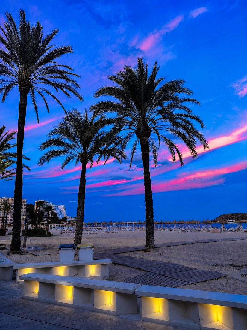 Palm trees and the lit beach promenade under a pink and blue twilight sky