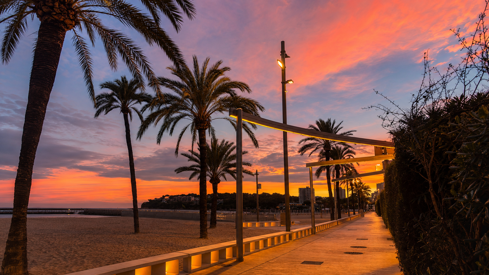 Sunrise over the palm-lined seafront promenade at Magaluf
